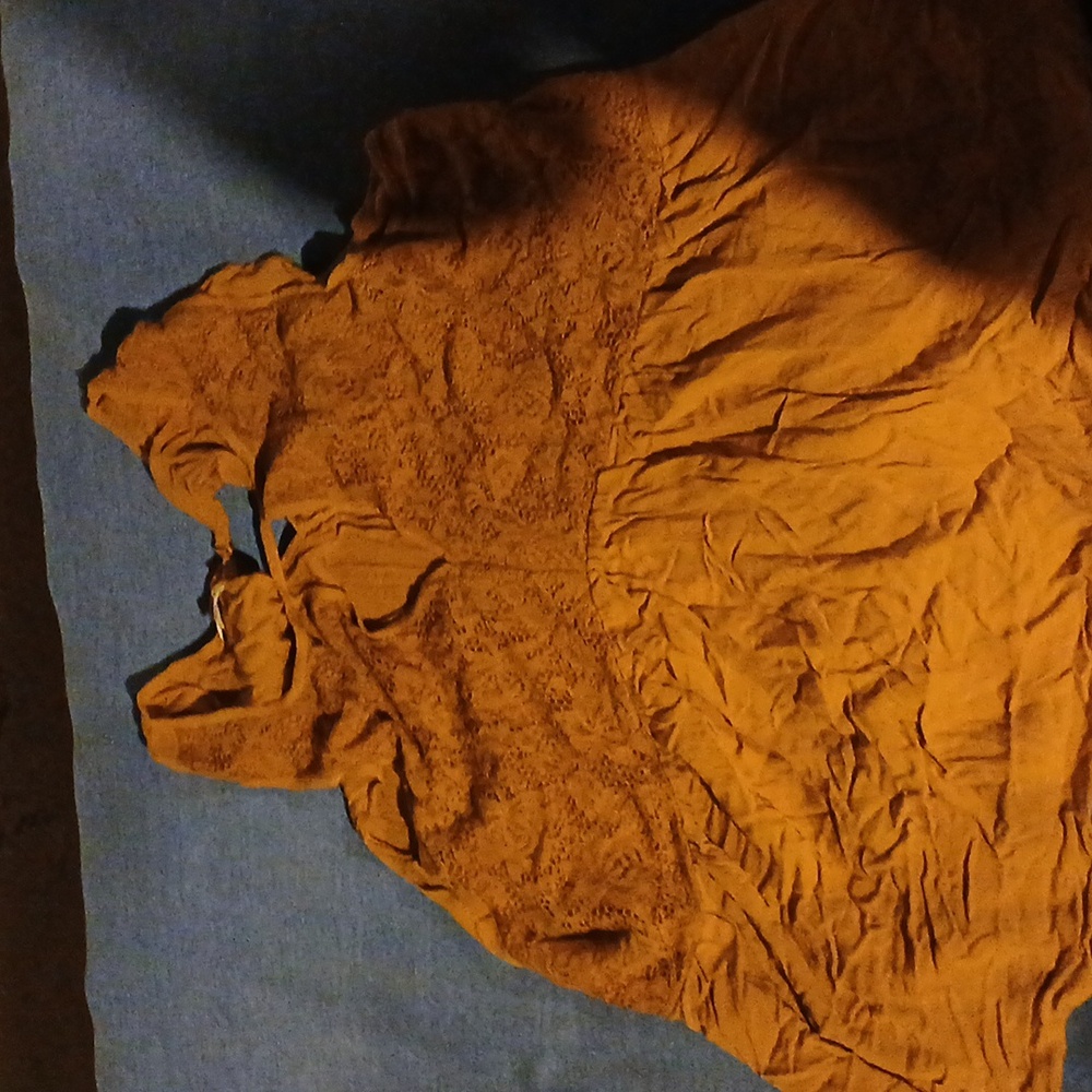 Maurice's sleeveless top